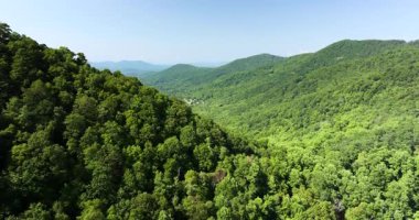 Kuzey Carolina Appalachian dağlarındaki yeşil orman, ABD. Yaz mevsiminde Amerikan doğası.