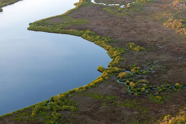Myakka nehri ile yeşil bitki örtüsü arasında Florida sulak alanları. Günbatımında tropik ekosistem.