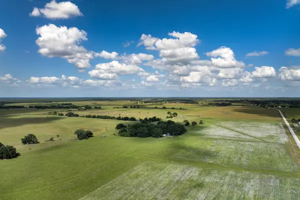 Yaz mevsiminde ekili tarım tarlaları, büyüyen ekinler. Florid 'deki yeşil tarlalar. ABD 'de tarım ve tarım endüstrisi.