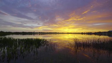 Gün batımında güzel doğa manzarası. Venedik, Florida 'daki Wellen Park' ta vahşi yaşam gölü.