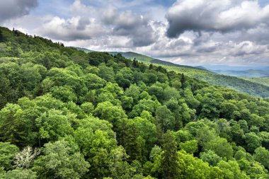 Yaz mevsiminde Kuzey Carolina Appalachian dağları. Güzel doğanın yaz manzarası.