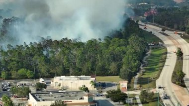 Florida ormanlarında yangın söndüren itfaiye araçları. İtfaiye araçları ormanda yangın çıkarmaya çalışıyor.