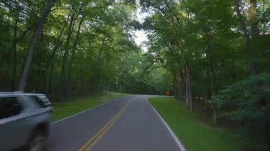 Appalachian dağlarına yolculuk. Yağmurlu yaz mevsiminde otomobil otomobili ormanlık alandan geçiyor. Tennessee 'deki renkli orman.