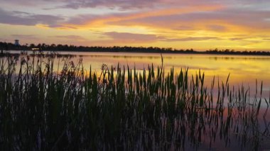 Florida akşam doğası. Gün batımında sulak göl.