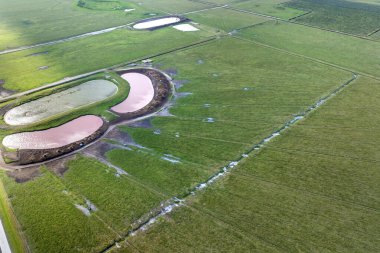 Serbest çiftlikte içme göletleri. Yeşil çiftlik otlaklarında otlayan inekler için su deposu. Çiftlik arazilerinde sığır beslemek.