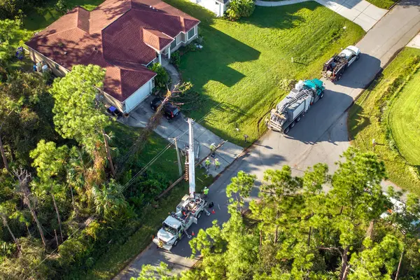 Florida 'da kasırga sonrası elektrik kesintisi. Elektrik işçileri hasar gören elektrik hatlarını onarıyor.