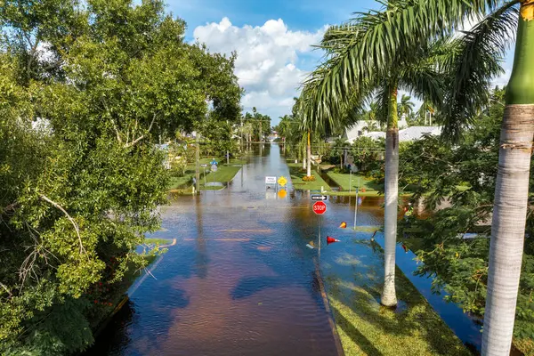 Florida 'da kasırga sonrası caddeyi su basmış. Kapalı levhalar araba sürmeyi engelliyor. Doğal afet konsepti sırasında ulaşımın güvenliği.