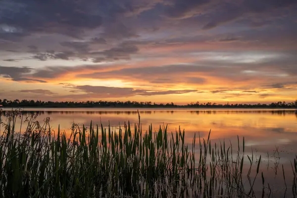 Florida gölü doğası gün batımında. Venedik 'teki Wellen parkında eğlence amaçlı vahşi yaşam alanı.