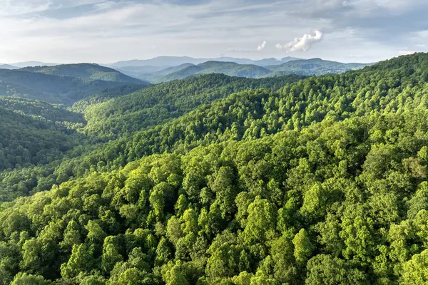 Yaz mevsiminde yeşil tepe örtüleri olan dağ ormanları. Kuzey Carolina Yazın vahşi orman doğası.