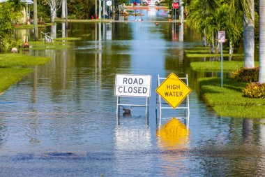 Punta Gorda, Florida 'daki Milton Kasırgası sonrası. Şehir caddesi, araba sürmeyi engelleyen uyarı levhaları yüzünden kapalı..