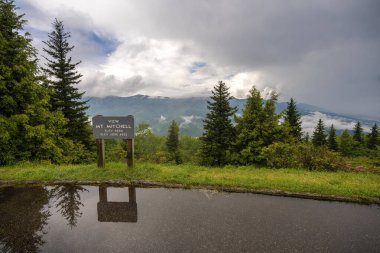 Gün batımında Appalachian dağlarına yolculuk. Mt. Mitchell Overlook, yaz mevsiminde doğada ve otoyolda. Kuzey Carolina 'daki renkli orman.