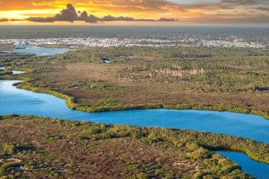Myakka nehri ve günbatımında yoğun yeşil bitki örtüsüyle vahşi tropikal doğa. Güney Amerika 'da Florida sulak arazisi.