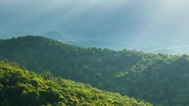 Kuzey Carolina Appalachian dağlarının güzel sabah doğası, ABD. Yaz mevsiminde Büyük Smokey Dağları.