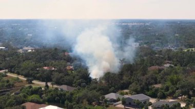 Bitki yangını Florida 'da yerleşim yerlerinin yakınındaki ağaçlık arazide hızla yayılıyor. Yoğun bir duman yaratıyor ve yakındaki mahalleler için tehlike artıyor..