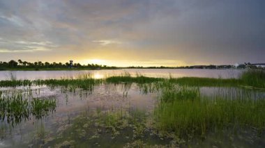 Kuzey Limanı, Florida 'daki Wellen Parkı' nda gün batımı.