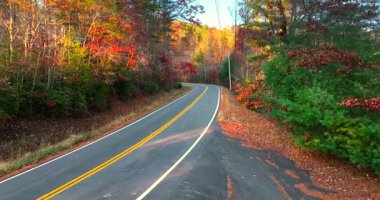Blue Ridge Parkway tam bir sonbahar ihtişamıyla. Kuzey Carolina dağ karayolu parlak kırmızı, turuncu ve altın yapraklarla kaplı..