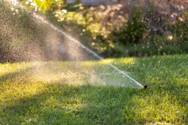 Çimleri korumak için su fıskiyeli otomatik sulama sistemi.