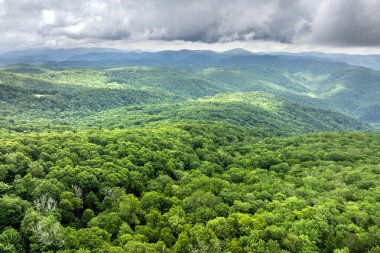 Kuzey Carolina Appalachian dağlarının güzel doğası, ABD. Yaz mevsiminde Büyük Smokey Dağları.
