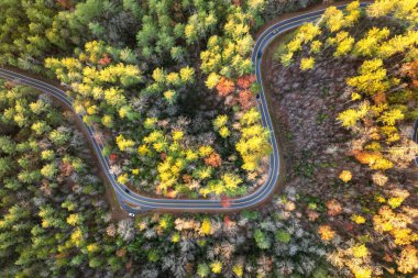 Kuzey Carolina 'daki huzurlu dağ yolu günbatımında en yüksek mevsimde. Appalachian manzarası canlı sonbahar renkleriyle dolu.