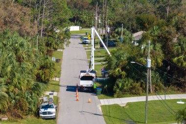 Elektrik hattının etrafındaki bitkiler buduyor. Belediye elektrikçisi ağaç dallarını keserek elektrik şebekesi kablolarının kırılmasını engelledi.