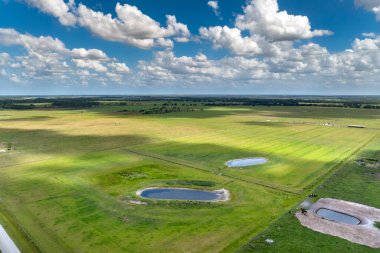 Yeşil çiftlik otlaklarında otlayan inekler için su deposu. Serbest çiftlikte içme göletleri. Çiftlik arazilerinde sığır beslemek.