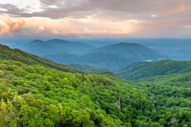 Appalachian dağlarında akşam manzarası. Yaz mevsiminde orman doğası. Tennessee 'deki renkli orman.