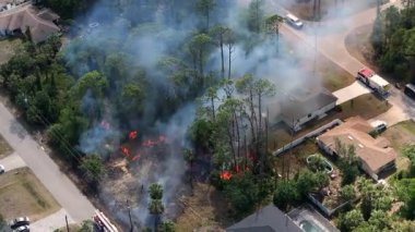 Florida 'daki evlerin yakınlarındaki yangında itfaiye araçları ve acil durum ekibi alevlerle mücadele ediyor..