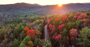 Sonbahar boyunca Tennessee Appalachians 'da dolambaçlı orman yolu. Parlayan sonbahar yapraklarının altında dağ ormanlarında seyahat eden araba..