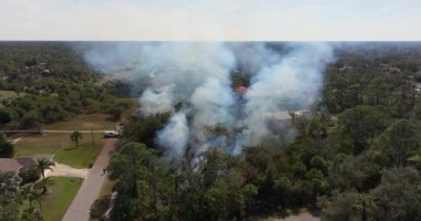 Florida 'daki orman yangınından duman yükseliyor. Yangın yerleşim alanına yayılıyor ve yakındaki evler için risk oluşturuyor..