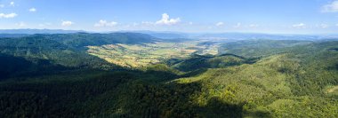 Parlak yaz gününde yoğun yeşil gür ormanlarla kaplı dağ tepelerinin havadan görünüşü.