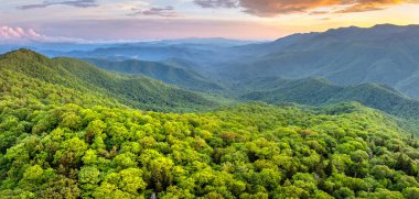 Kuzey Carolina Appalachian dağlarında yaz mevsiminde parlak gün doğumu. Güzel doğanın yaz manzarası.