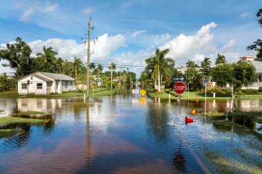 Florida 'da kasırga sonrası caddeyi su basmış. Kapalı levhalar araba sürmeyi engelliyor. Doğal afet konsepti sırasında ulaşımın güvenliği.