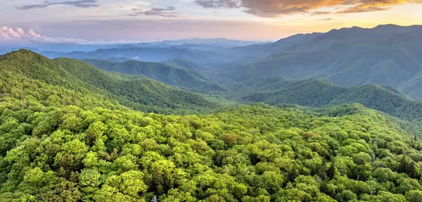 Kuzey Carolina Appalachian dağlarında yaz mevsiminde parlak gün doğumu. Güzel doğanın yaz manzarası.