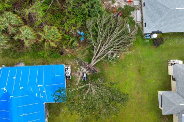 Kasırga hasarı sonrası plastik muşambaya sarılı ev çatısı, kalıcı çatı malzemesi onarılana kadar yapıyı sudan koruyor..