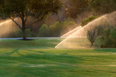 Çim sulama için otomatik sulama sistemi. Kurak mevsimde çimenleri yeşil tutmak.