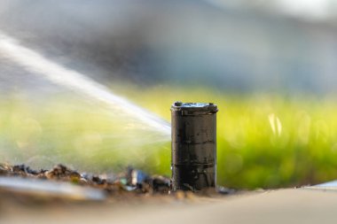 Sulama sulama fıskiyesi kurak mevsimde arka bahçedeki çimlerin üzerine su yayarak yeşil ve taze kalmasını sağlar..