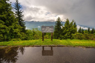 Gün batımında Appalachian dağlarına yolculuk. Mt. Mitchell Overlook, yaz mevsiminde doğada ve otoyolda. Kuzey Carolina 'daki renkli orman.