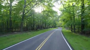 Kuzey Carolina Appalachian dağlarındaki Blue Ridge Parkway 'de yaz yağmuru mevsiminde araba yolculuğu. Sürücü bakış açısı. Güzel doğanın yaz manzarası.