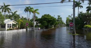 Florida 'da sel, tropikal fırtınadan kaynaklanıyor. Sel sularıyla çevrili yerleşim yerlerindeki banliyö evleri. Doğal afetten sonra
