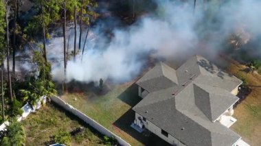 İtfaiyeciler Florida ormanlarında hızla yayılan bir yangınla mücadele ediyor. Banliyö evlerinin yakınındaki itfaiye araçları yerleşim yerlerinin yakınında konuşlanmış durumda..