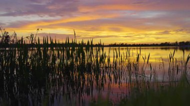 Kuzey Port, Florida 'daki Wellen Park' ta günbatımı manzarası. Akşamları göl doğası.