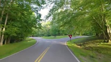 Kuzey Carolina Appalachian dağlarındaki dağ geçidi yolu, ABD. Yaz sezonunda Blue Ridge Parkway 'de araba sürüyor..