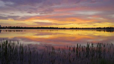 İnanılmaz Florida doğası. Güney tropik sulak alanlarda, göl suyunun üzerinde gün batımı.