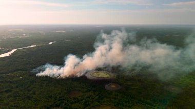 Planned prescribed burn in Florida forest improves ecosystem health, with flames and smoke rising into the sky