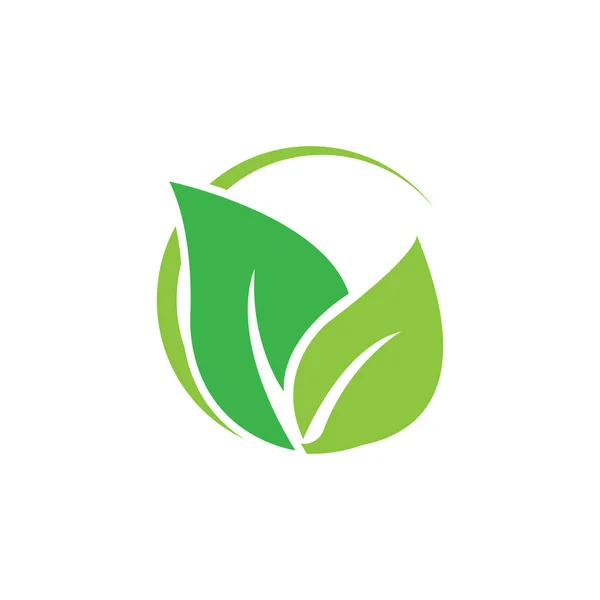 Icône Feuille Vectoriel Illustration Logo Design — Image vectorielle