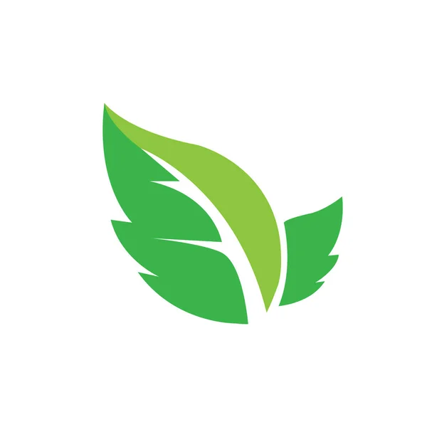 Yaprak Ikonu Vektör Illüstrasyon Logo Tasarımı — Stok Vektör