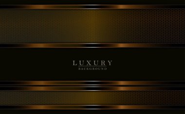 Dark geometric illustration with mesh curtains with a shiny border.