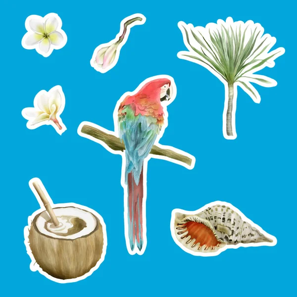 Coleção Adesivos Florais Tropicais Desenhados Mão — Vetor de Stock