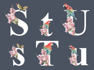 Çiçekli tropikal illüstrasyonla izole edilmiş alfabe