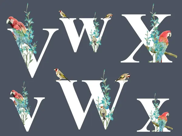 Alfabet Terissolasi Dengan Ilustrasi Tropis Floral - Stok Vektor